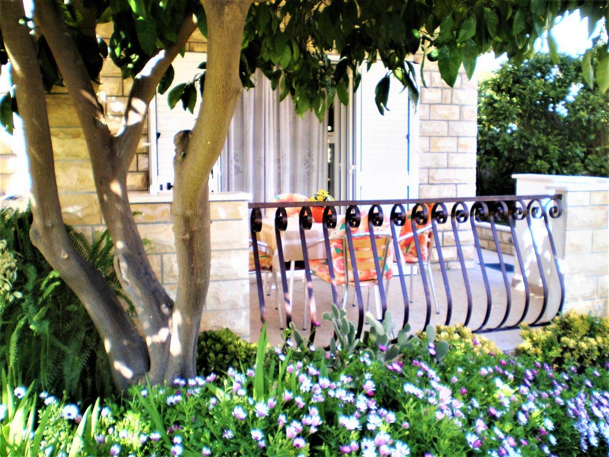 Apartments Tamara Hvar Town Quarto foto
